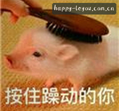 刘洋